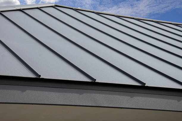 Best Steel Roofing  in Woodstown, NJ