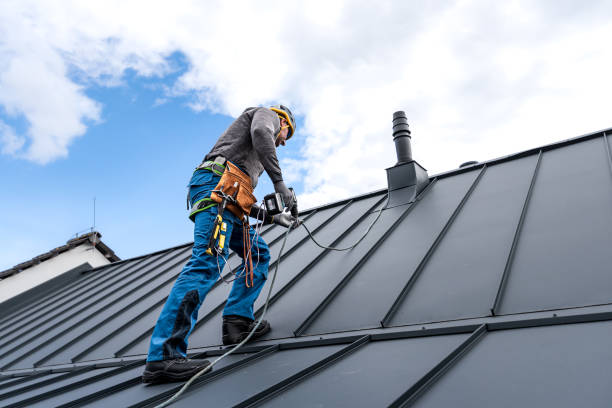 Best Sheet Metal Roofing  in Woodstown, NJ