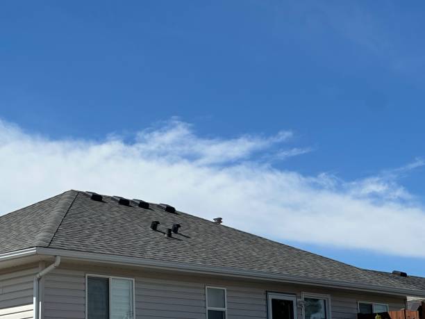 Best Roof Maintenance and Cleaning  in Woodstown, NJ